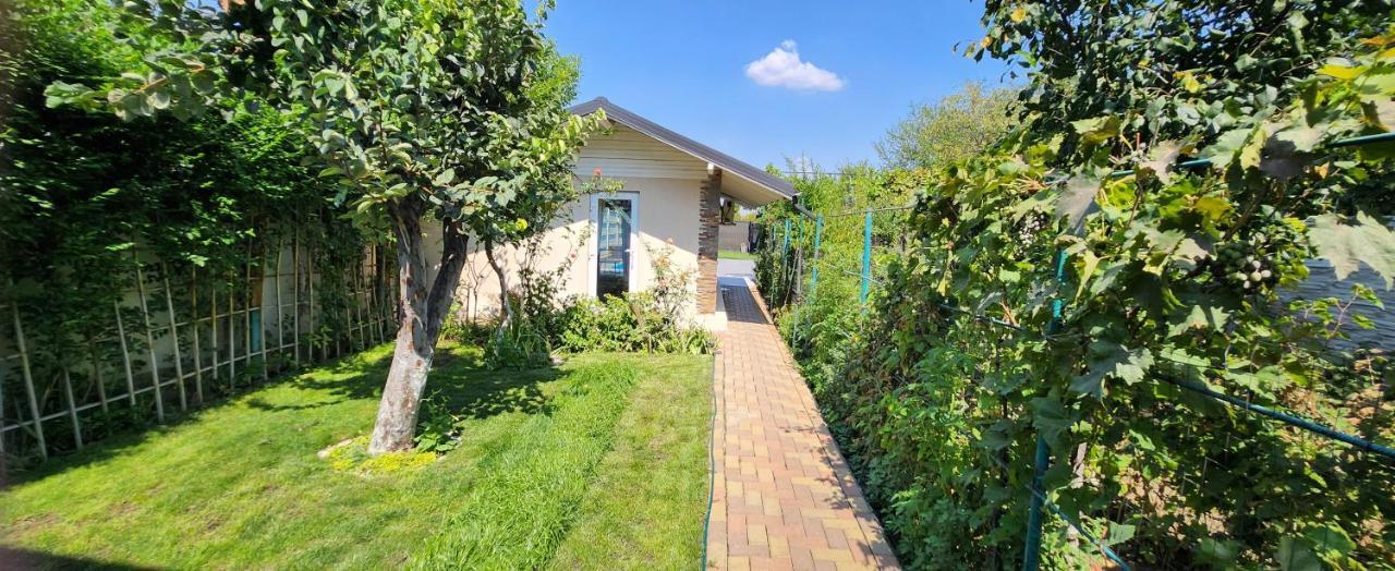 Morii Lake Pool Villa Bucharest Exterior photo